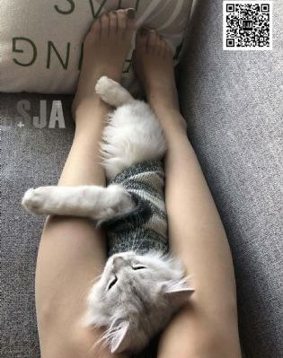 欧美日韩亚洲色_超清全集免费观看